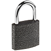 Замок висячий 40 мм, 2 ключа TopTools 90U301